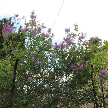 Raise Traditional Getaway * פולידרוסוס